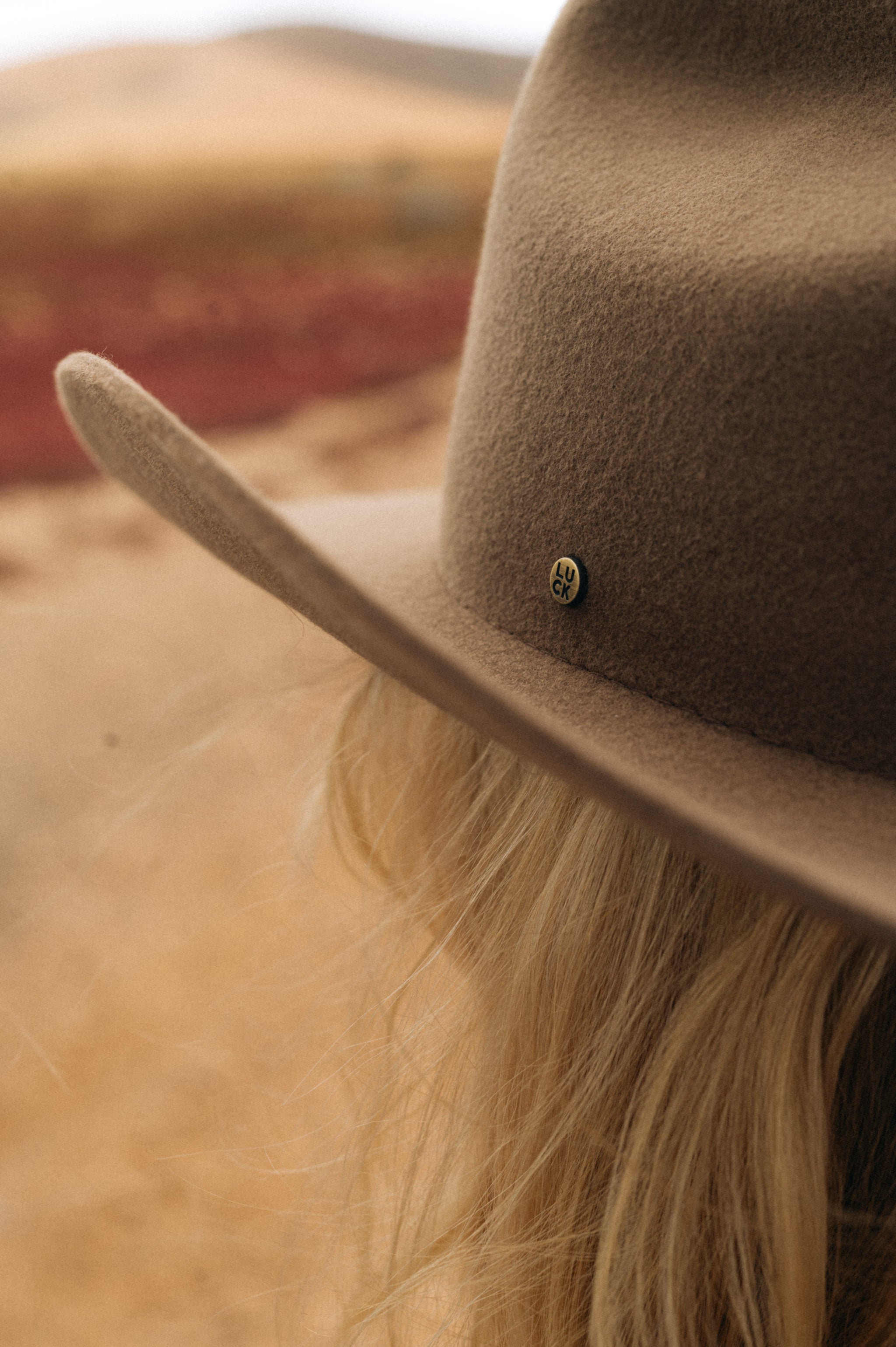 Teddy Cowboy