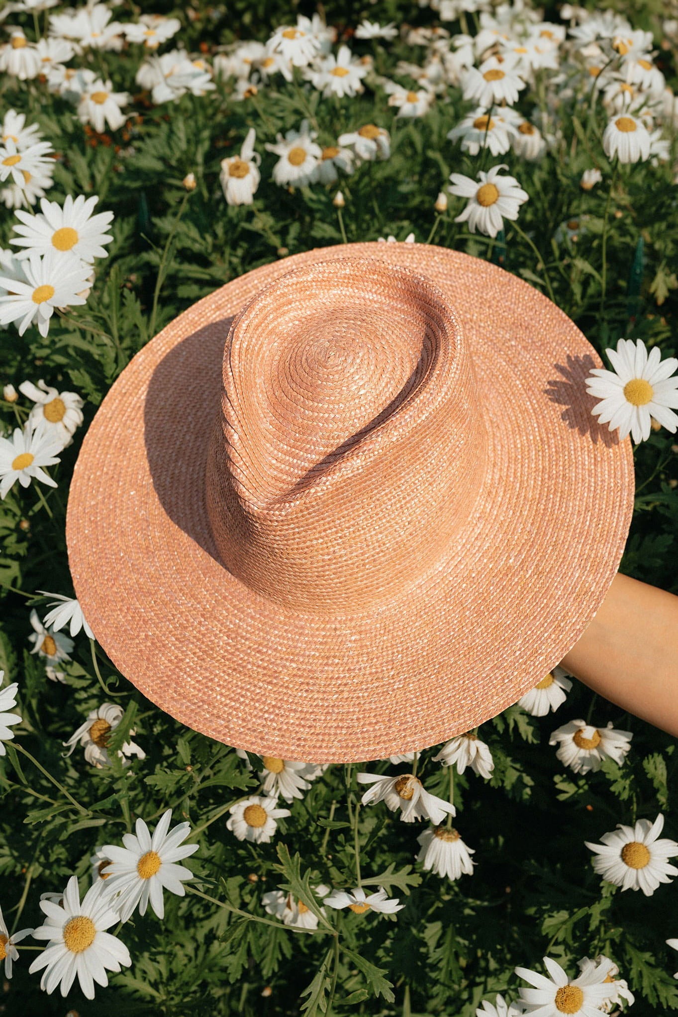 ROSE STRAW